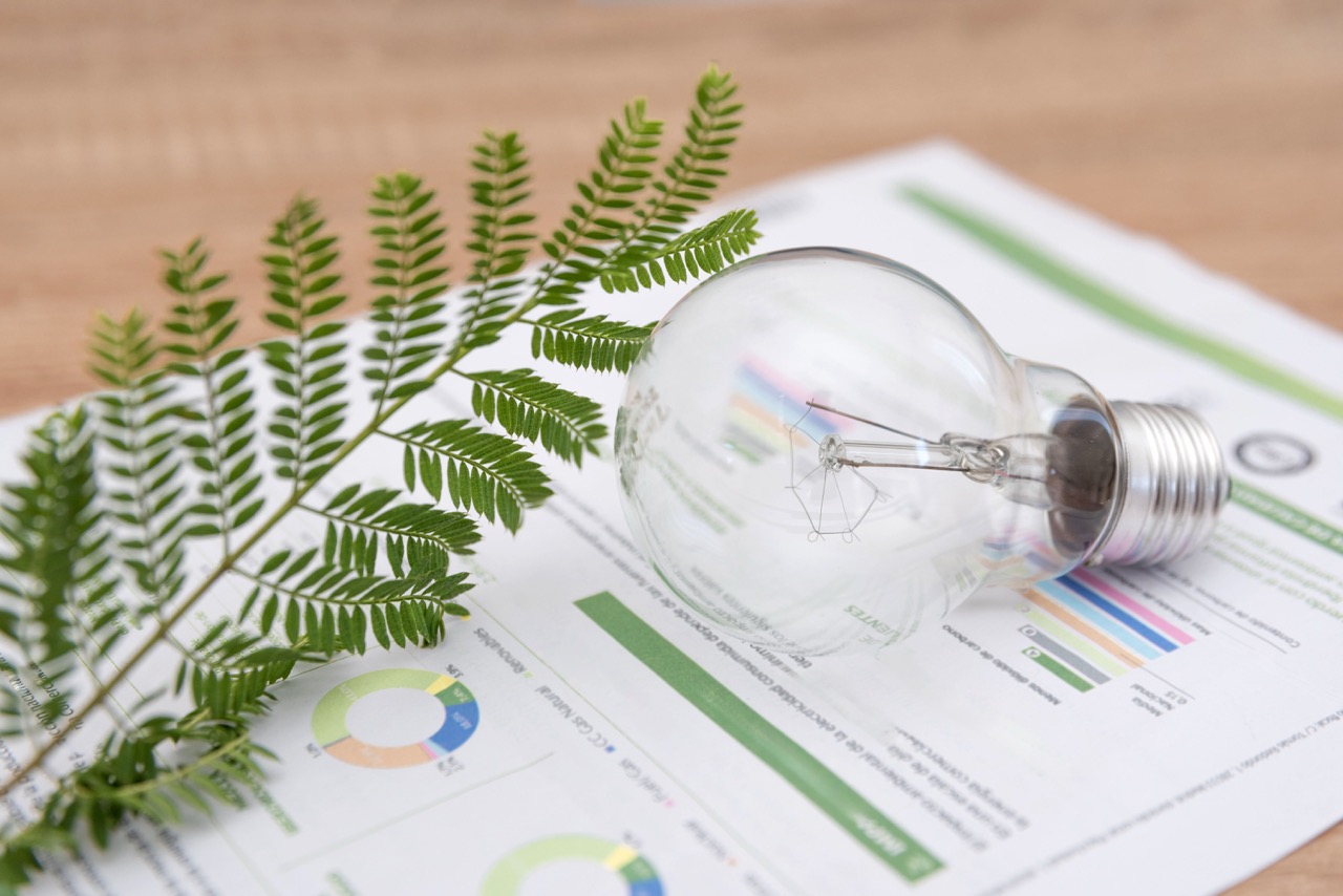 Certificati bianchi: cosa sono, quanto valgono e procedura per ottenerli